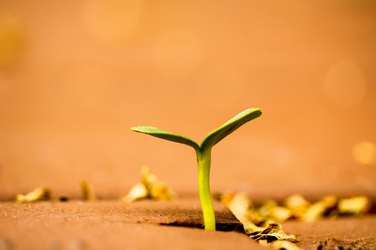 Navigating the Investment: Understanding Custom Software Costs and ROI