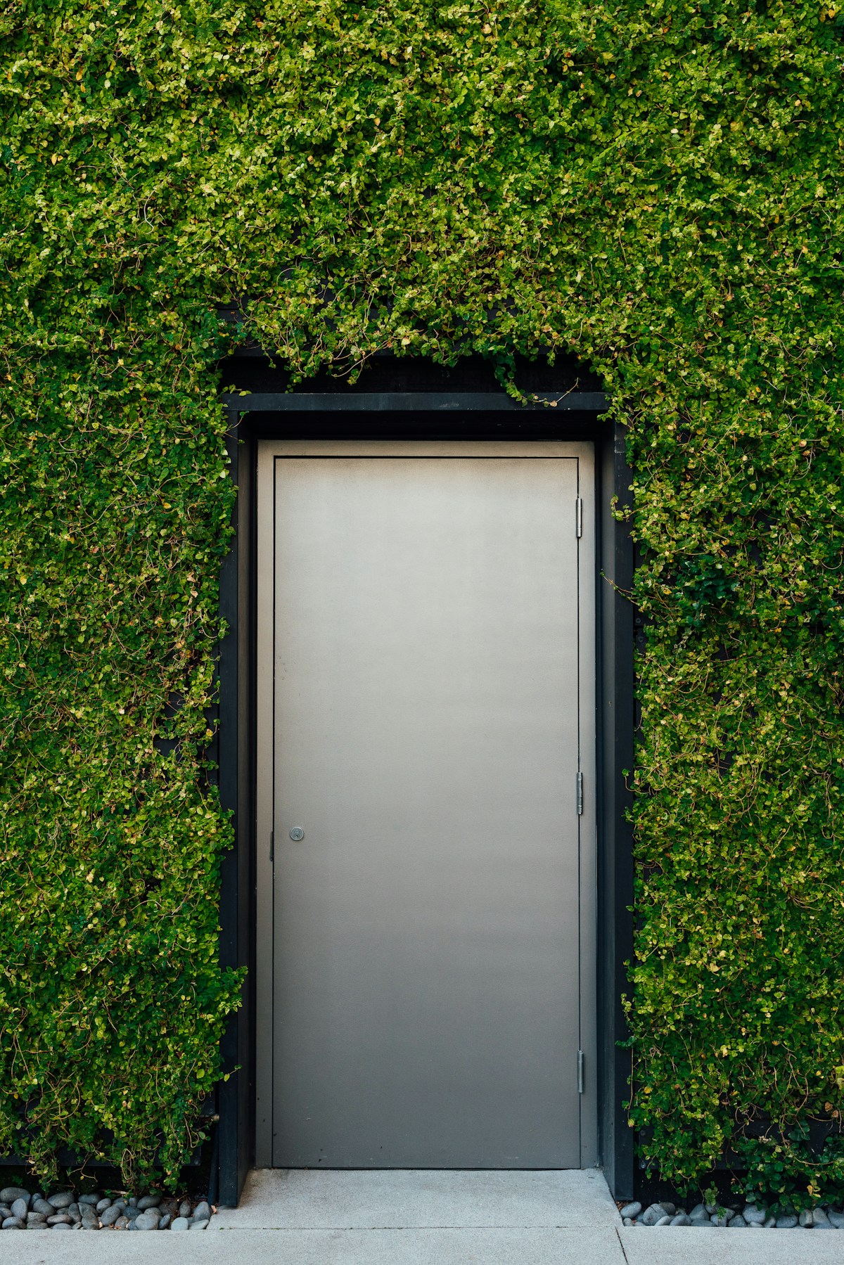 Tailored Solutions for Unique Challenges: The Custom Software Advantage